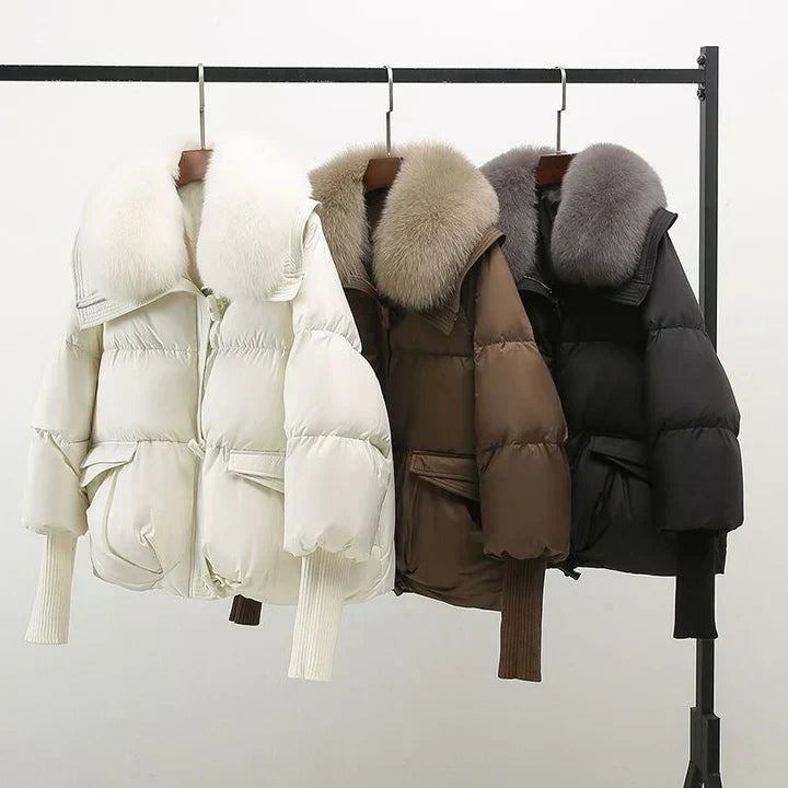 Indi | Jacket