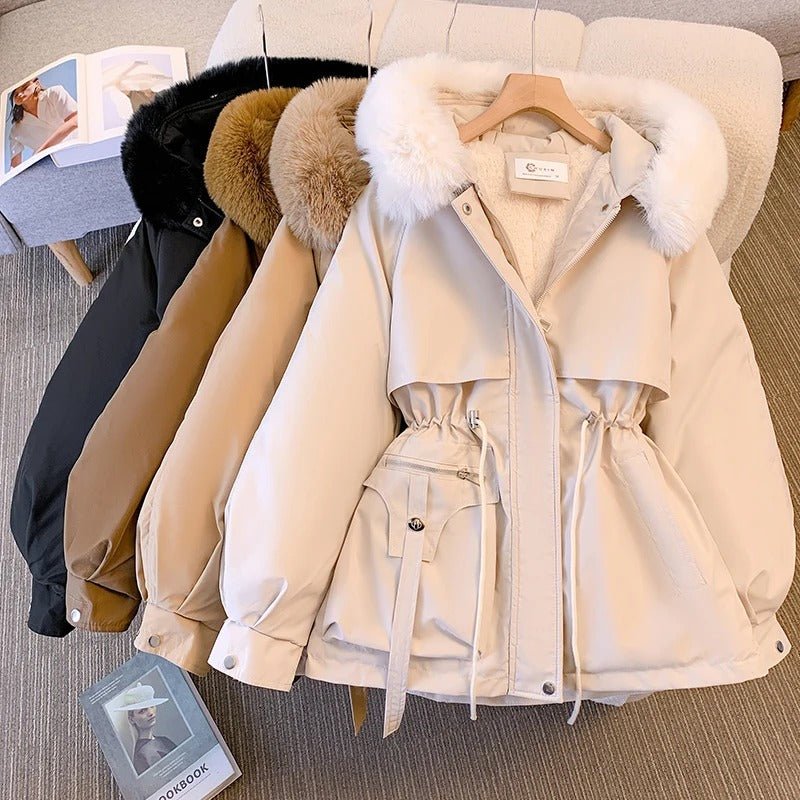 Amity | Jacket