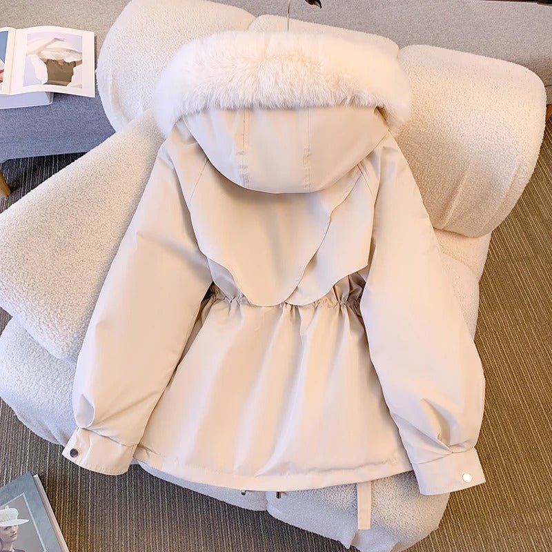 Amity | Jacket