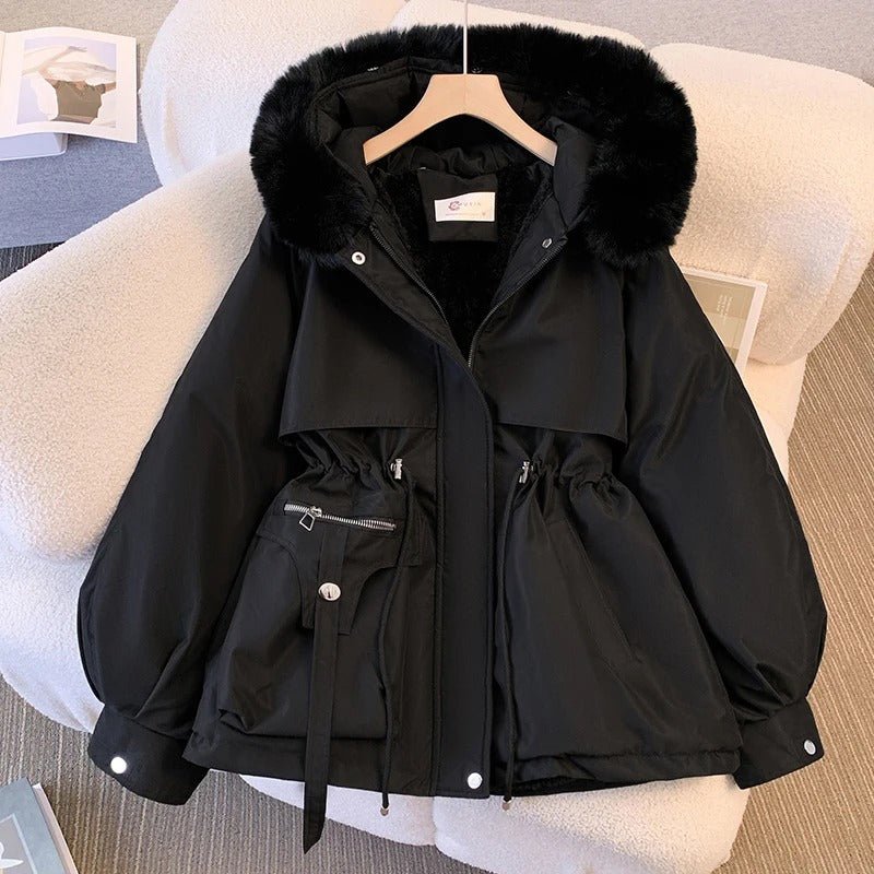 Amity | Jacket