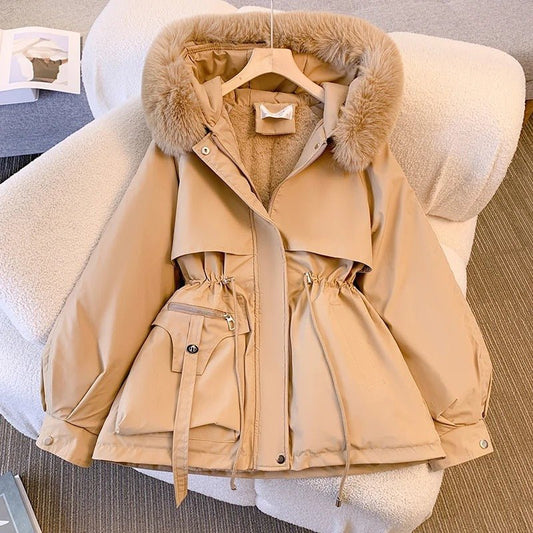 Amity | Jacket